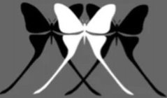 CPALI CORPORATION (Logo)